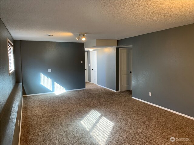 empty room with a textured ceiling, carpet, and a wealth of natural light