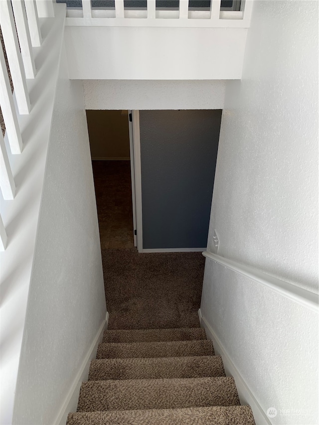 staircase with carpet