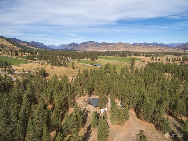 bird's eye view featuring a mountain view