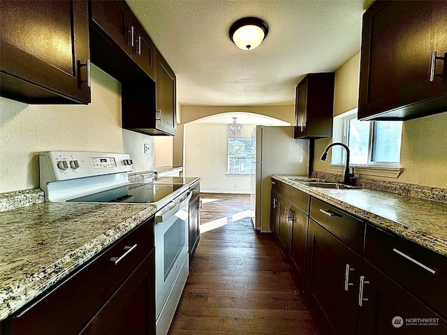 kitchen featuring sink, white appliances, dark brown cabinets, a textured ceiling, and dark hardwood / wood-style flooring