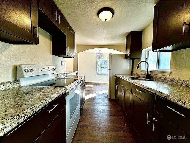 kitchen with a wealth of natural light, white appliances, dark wood finished floors, and a sink