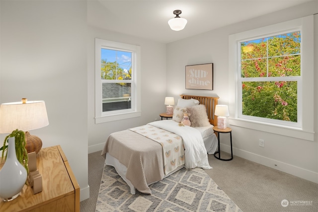 bedroom with carpet flooring