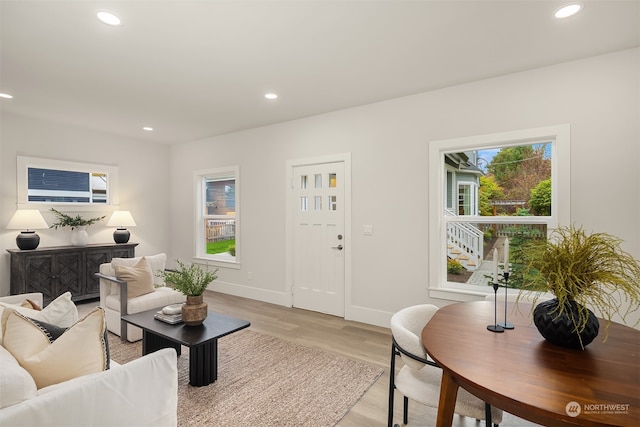 living room with light hardwood / wood-style flooring