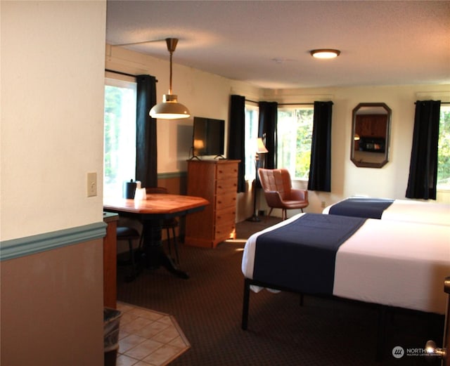 carpeted bedroom with multiple windows
