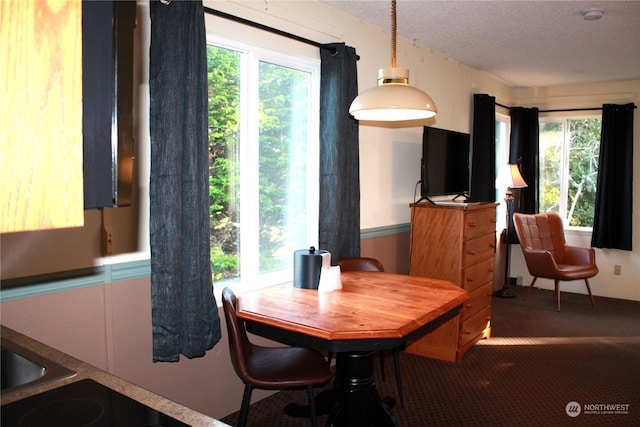 carpeted dining room with a textured ceiling