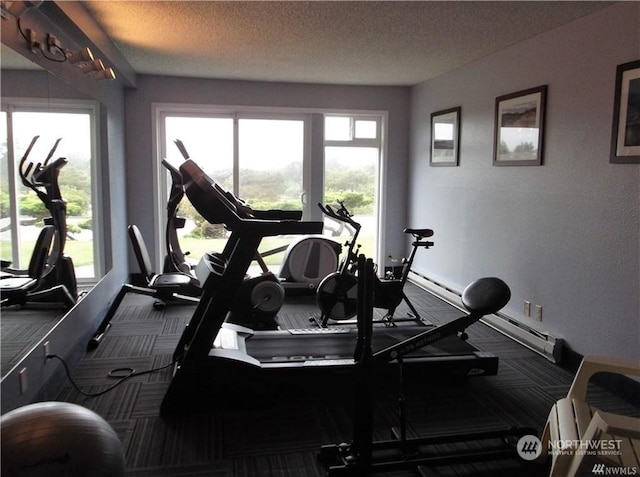workout area featuring baseboards, carpet floors, and a textured ceiling