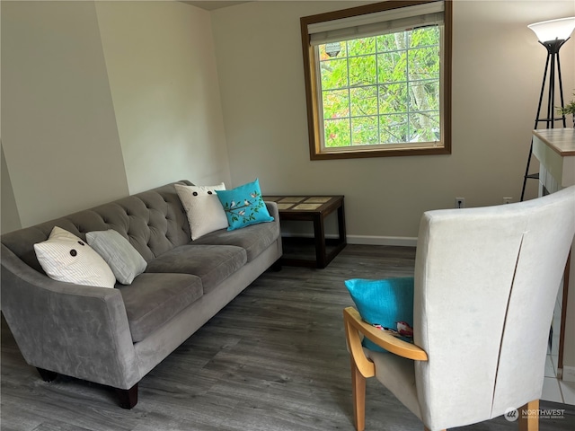 living room with dark hardwood / wood-style floors