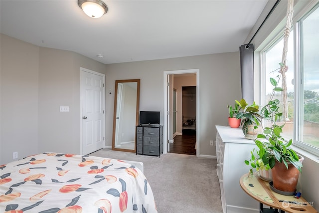 bedroom featuring a spacious closet, light colored carpet, and a closet