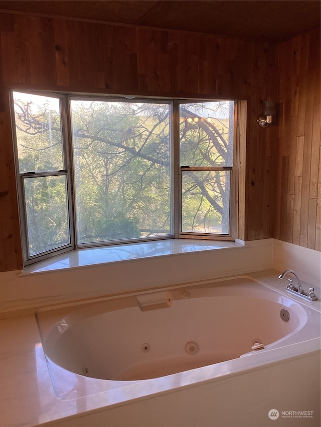 bathroom featuring a healthy amount of sunlight, wooden walls, and a washtub