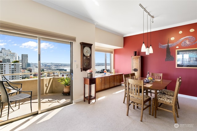 carpeted dining area with ornamental molding and track lighting