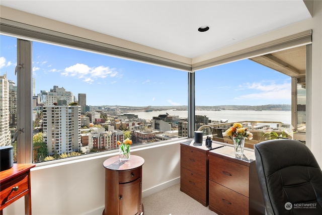 office with a water view and a wealth of natural light