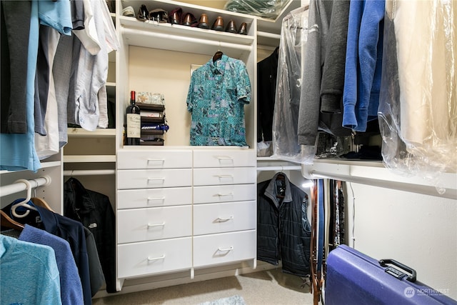 walk in closet with light colored carpet