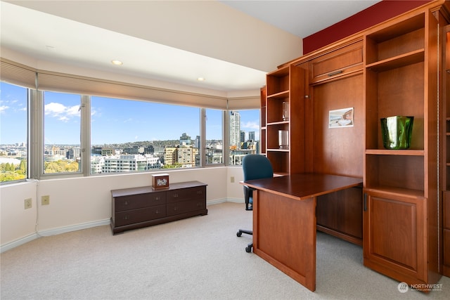 carpeted office space featuring a healthy amount of sunlight