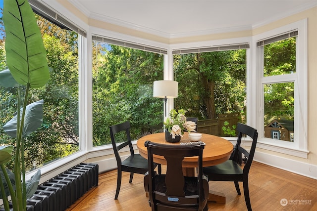 sunroom featuring a healthy amount of sunlight and radiator heating unit