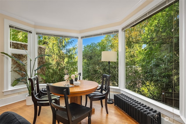 sunroom / solarium featuring radiator