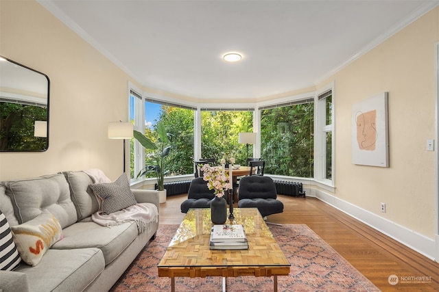 living room with crown molding, hardwood / wood-style floors, and radiator heating unit