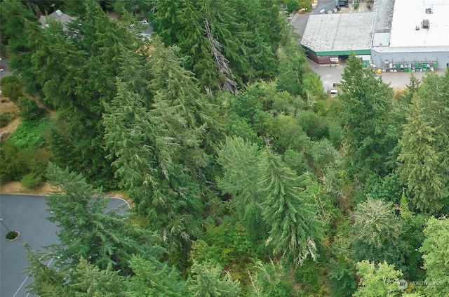 0 Lincoln Ave SE, Port Orchard, WA 98366 - photo 4