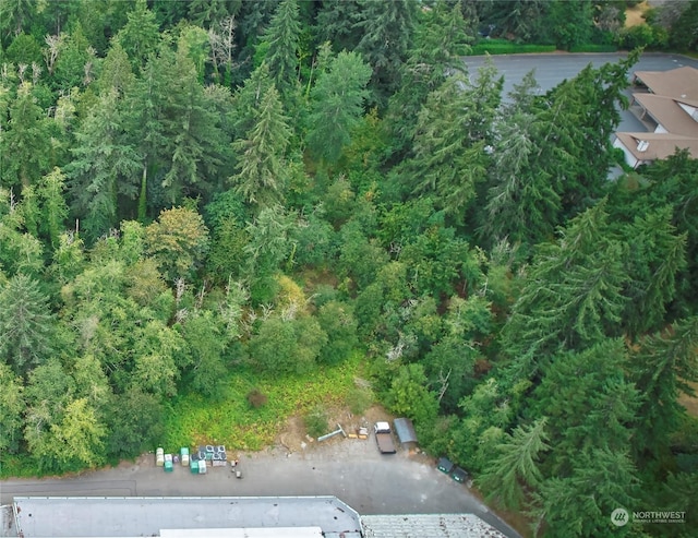 0 Lincoln Ave SE, Port Orchard, WA 98366 - photo 5