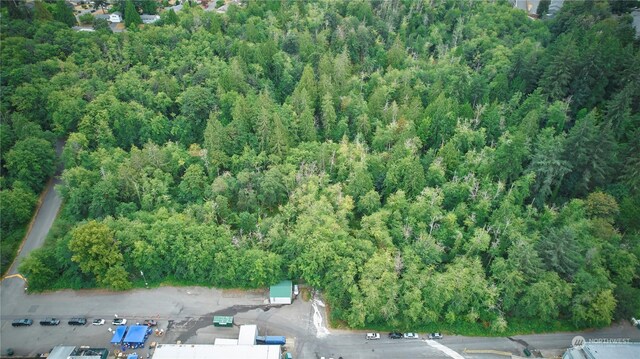 0 Lincoln Ave SE, Port Orchard, WA 98366 - photo 8