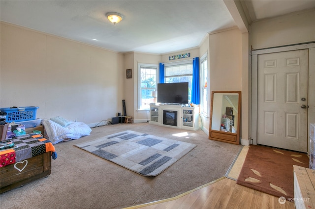 living room featuring hardwood / wood-style flooring, a fireplace, and crown molding