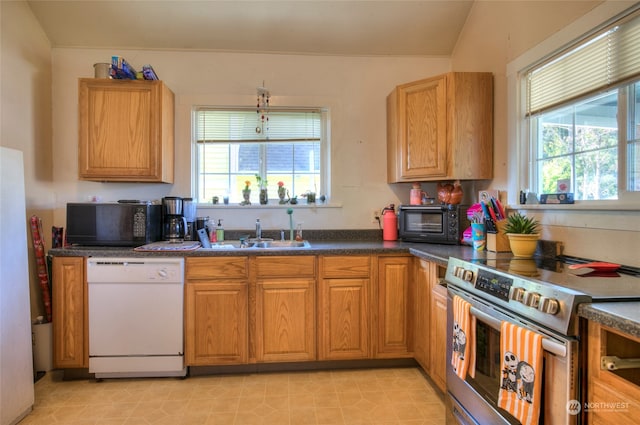 kitchen featuring dishwasher, stainless steel range with electric cooktop, sink, and a wealth of natural light