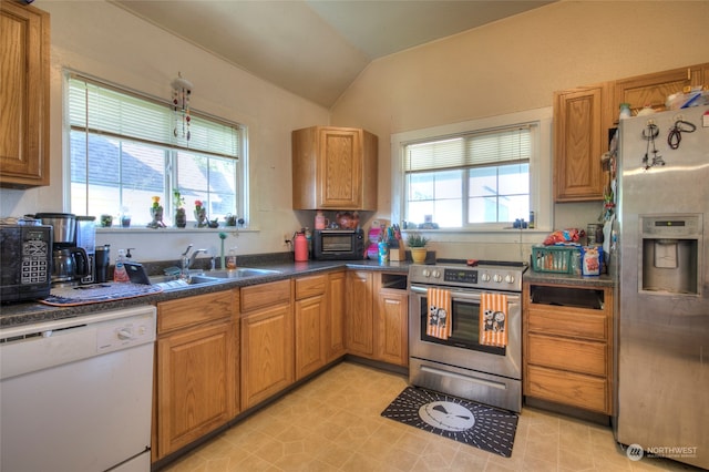 kitchen with vaulted ceiling, sink, stainless steel appliances, and a wealth of natural light