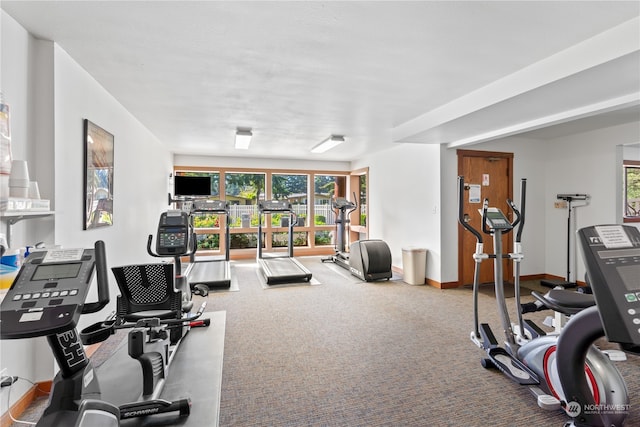 exercise room featuring carpet and a wealth of natural light