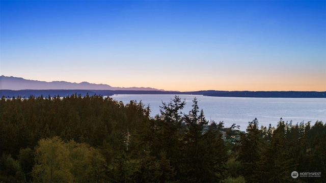 property view of water with a mountain view