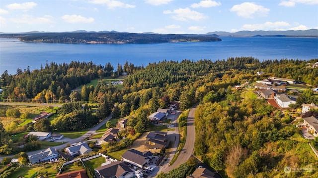 birds eye view of property with a water and mountain view