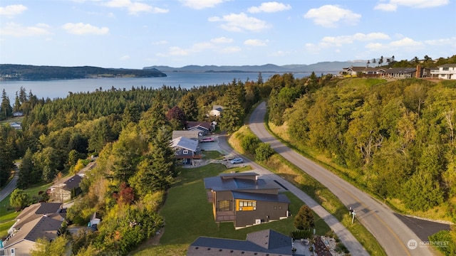 birds eye view of property with a water and mountain view