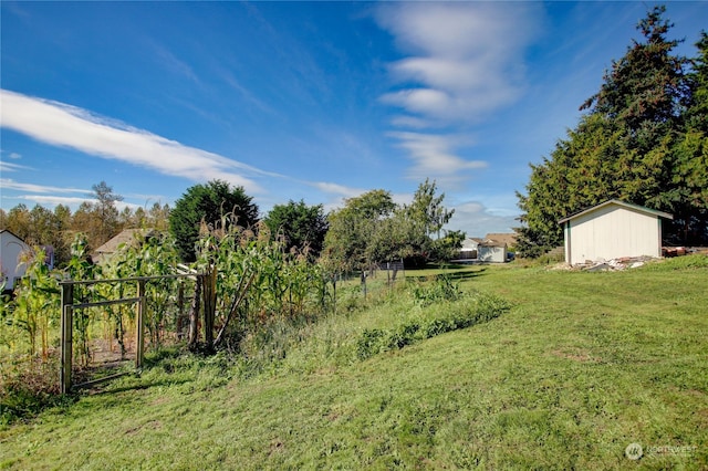 view of yard with a shed