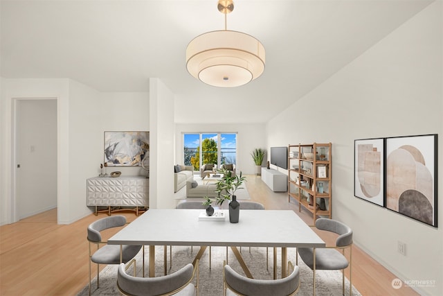 dining room with wood-type flooring