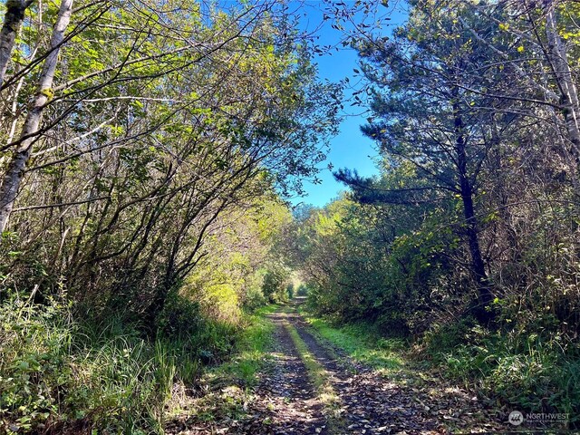2081 State Route 105th Hwy, Grayland, WA 98547
