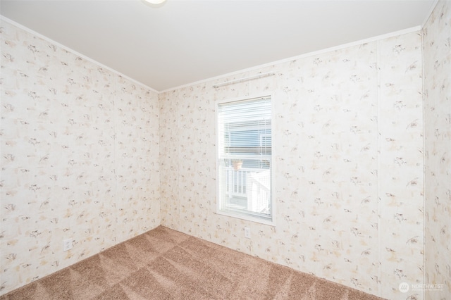 carpeted spare room with ornamental molding