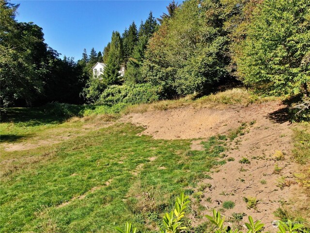 1129 Wildwood Ave, Raymond, WA 98577 - photo 3