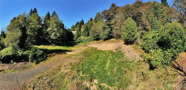 1129 Wildwood Ave, Raymond, WA 98577 - photo 5