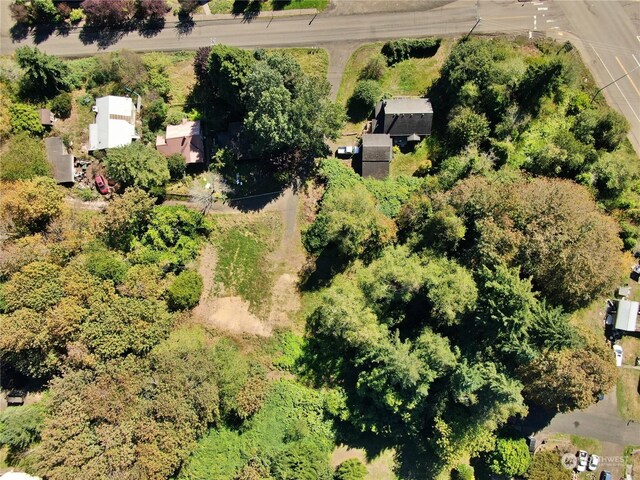 1129 Wildwood Ave, Raymond, WA 98577 - photo 10