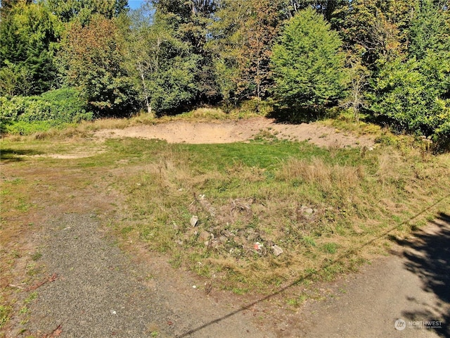 1129 Wildwood Ave, Raymond, WA 98577 - photo 11