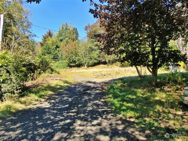1129 Wildwood Ave, Raymond, WA 98577 - photo 13