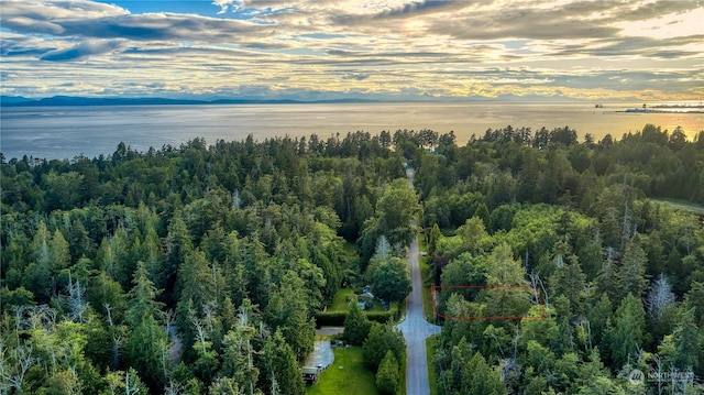 1394 Rex St, Point Roberts, WA 98281