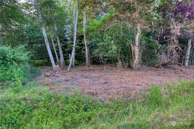1394 Rex St, Point Roberts, WA 98281