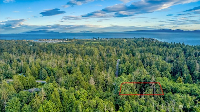 1394 Rex St, Point Roberts, WA 98281