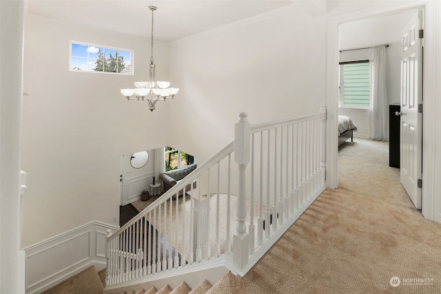 staircase featuring carpet floors and a notable chandelier