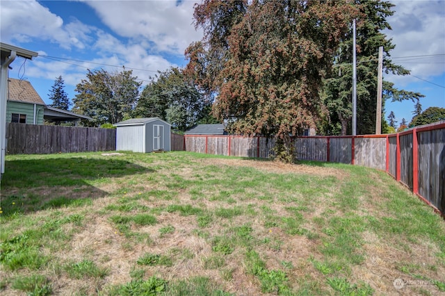 view of yard with a storage unit