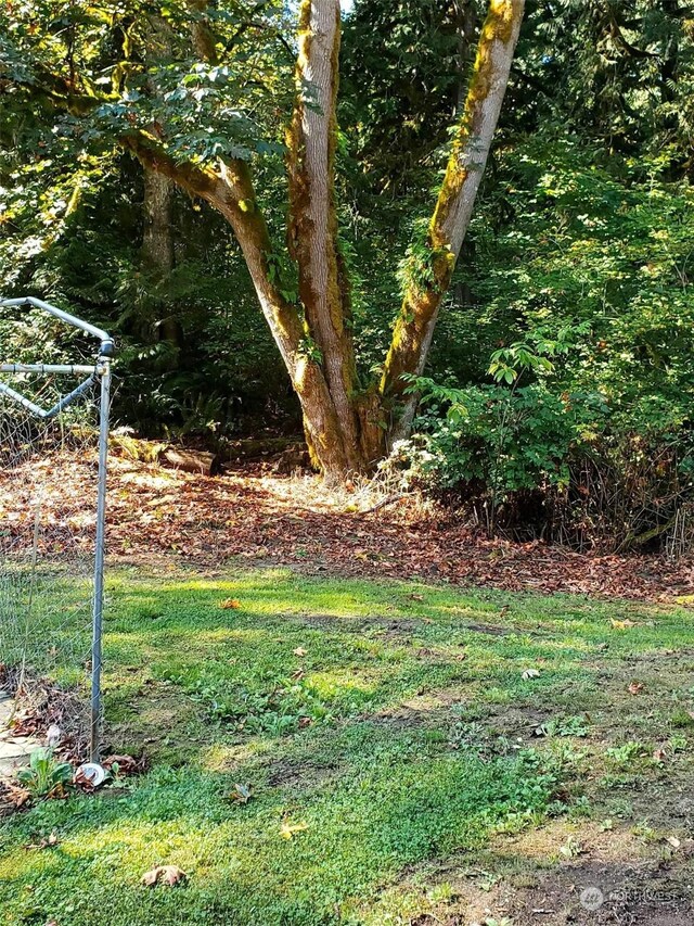 9829 Pandora Ct, Marblemount, WA 98267 - view of yard