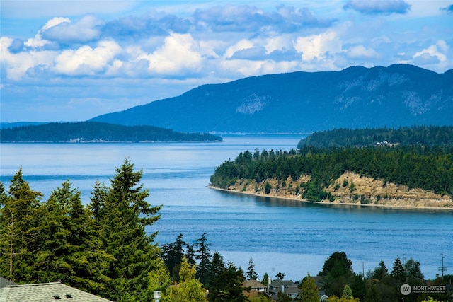 view of water feature with a mountain view