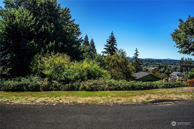 0 SE Evergreen Dr, Chehalis, WA 98532 - photo 1