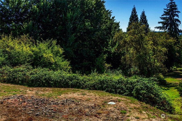 0 SE Evergreen Dr, Chehalis, WA 98532 - photo 3