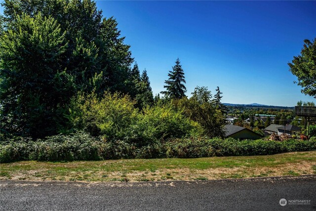 0 SE Evergreen Dr, Chehalis, WA 98532 - photo 4