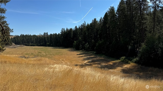 view of local wilderness